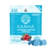 Kanha 1:1:1 Tranquility