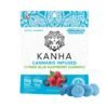 Kanha Gummies Blue Raspberry - Hybrid