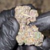 Cali's Finest