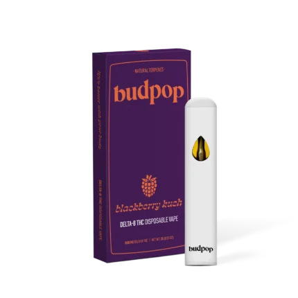 Delta 8 Disposable Vape Pen – Blackberry Kush – Budpop