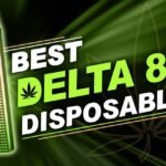 Best Delta-8 Disposables