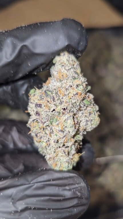 Apple Gas x Unicorn Poop