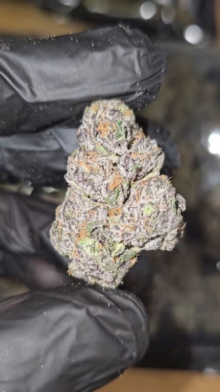 Lava Cake