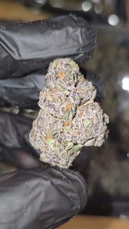 Lava Cake